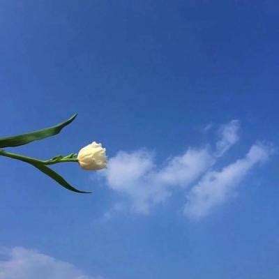 美女打飞机下载